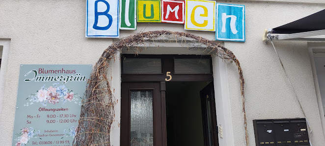 Blumenhaus Immergrün