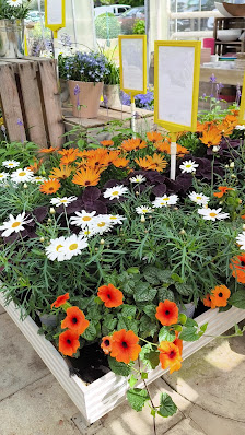 Gärtnerei Rieger - Floristik • Grabpflege • Begrünung • Blumen in Bremerhaven