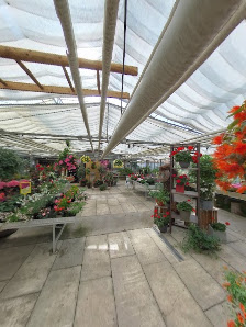 Gärtnerei Rieger - Floristik • Grabpflege • Begrünung • Blumen in Bremerhaven