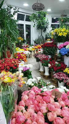 Blumen Nguyen