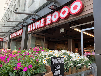 BLUME2000 Bad Homburg