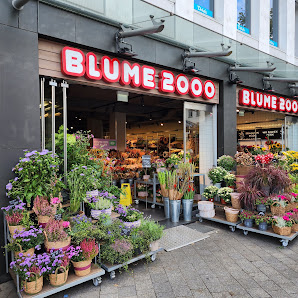 BLUME2000 Bad Homburg