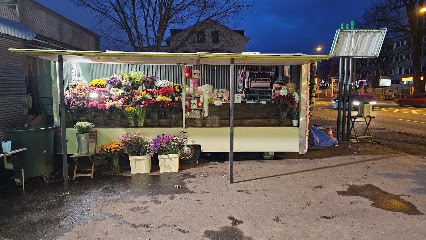 lieblingsblumen