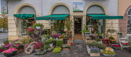 Julias-Blumenwelt - Offenbach