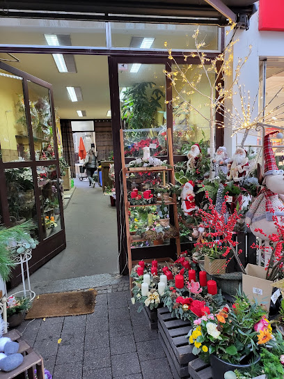 Blumenmarkt in Offenbach am Main