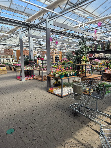 Gärtnerei Löwer Hanau