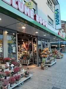 BLUME2000 Hanau