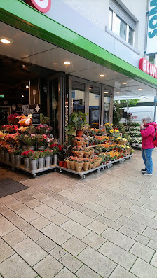 BLUME2000 Hanau