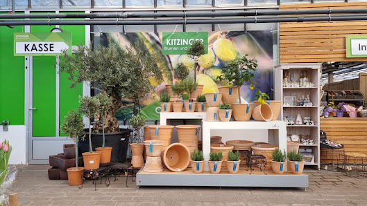 Kitzinger Blumen und Pflanzen