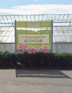 Kitzinger Blumen und Pflanzen