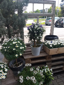 Blumen Wiegand