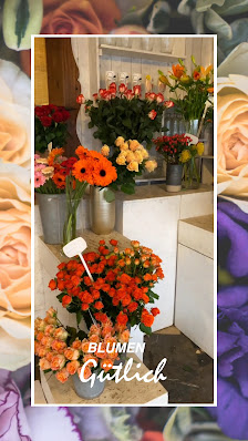Blumen Gütlich