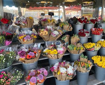 Blumen Edelweiß Fulda Kaiserwiese