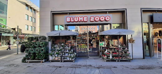 BLUME2000 Fulda