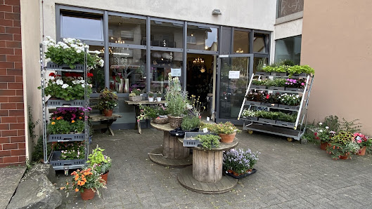 Anna Hartung (Blumen-Hartung)