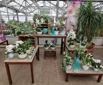 Blumen Risse Blumenmarkt Petersberg
