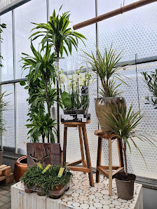 Flora In GmbH