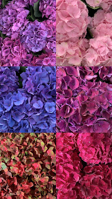 Akbulut Blumenhandel