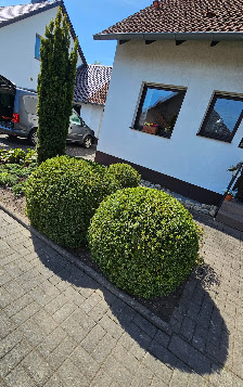 Gartenpflege Igor