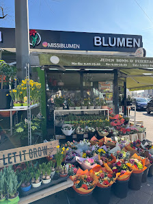 Missi Blumen
