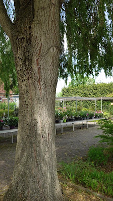 Gartenzentrale Appel GmbH
