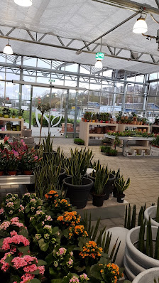 Mühltaler Gartenmarkt
