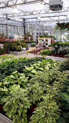 Mühltaler Gartenmarkt