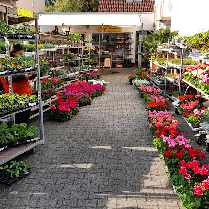 Reinheim