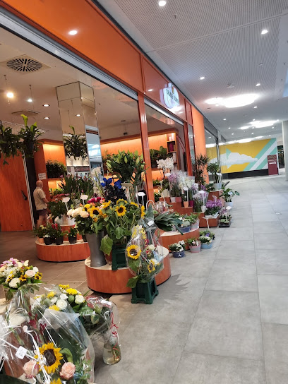 Oranje Blumen