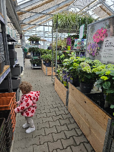 Dehner Garten-Center