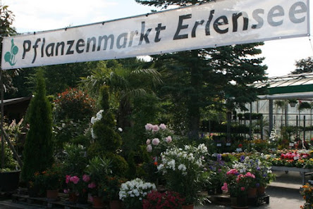Pflanzenmarkt