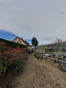 Pflanzenmarkt