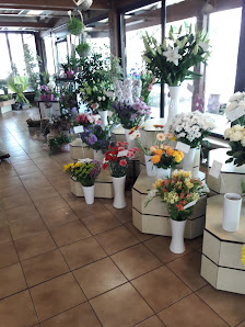 Blumenhaus Dönges