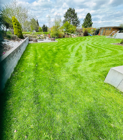 Garten Design Grün