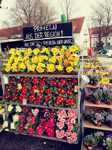 BLUME2000 Hamburg Langenhorn Markt