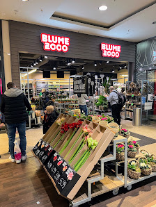 BLUME 2000