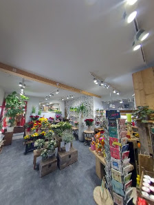 Blumen Galerie