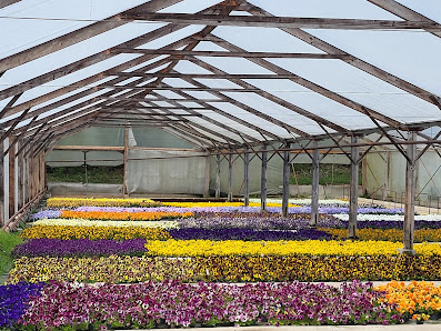 Haack Gartenbau