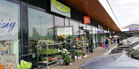 Blumen Edelweiß Marburg