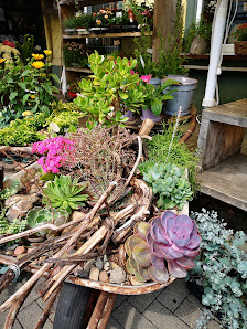 Blumenreise - Schönes für Haus und Garten
