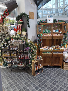 OBI Gartencenter Marburg Wehrda
