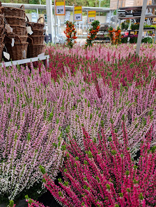 OBI Gartencenter Marburg Wehrda