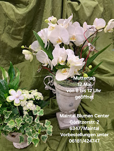 Maintal Blumen Center