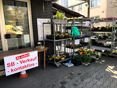 Blumen Pfeiffer Floristik