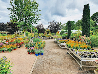 Pflanzenhof Grau, Garten- und Landschaftsbau Meisterbetrieb