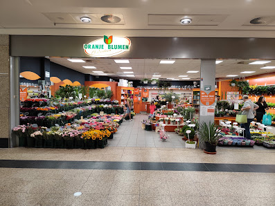 Oranje Blumen