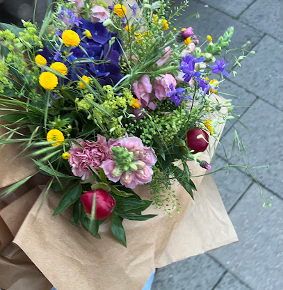 Blumen Peters