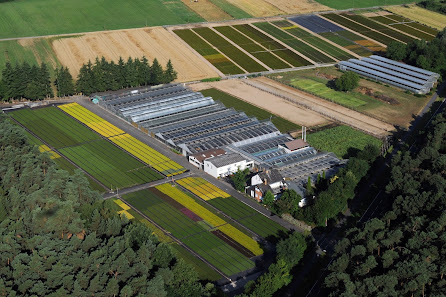 Wolf Gartenbau