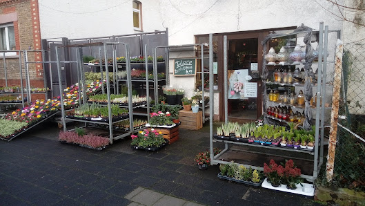 Blumen Ebeling