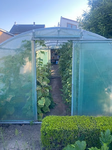 Dörfler's Gartengestaltung